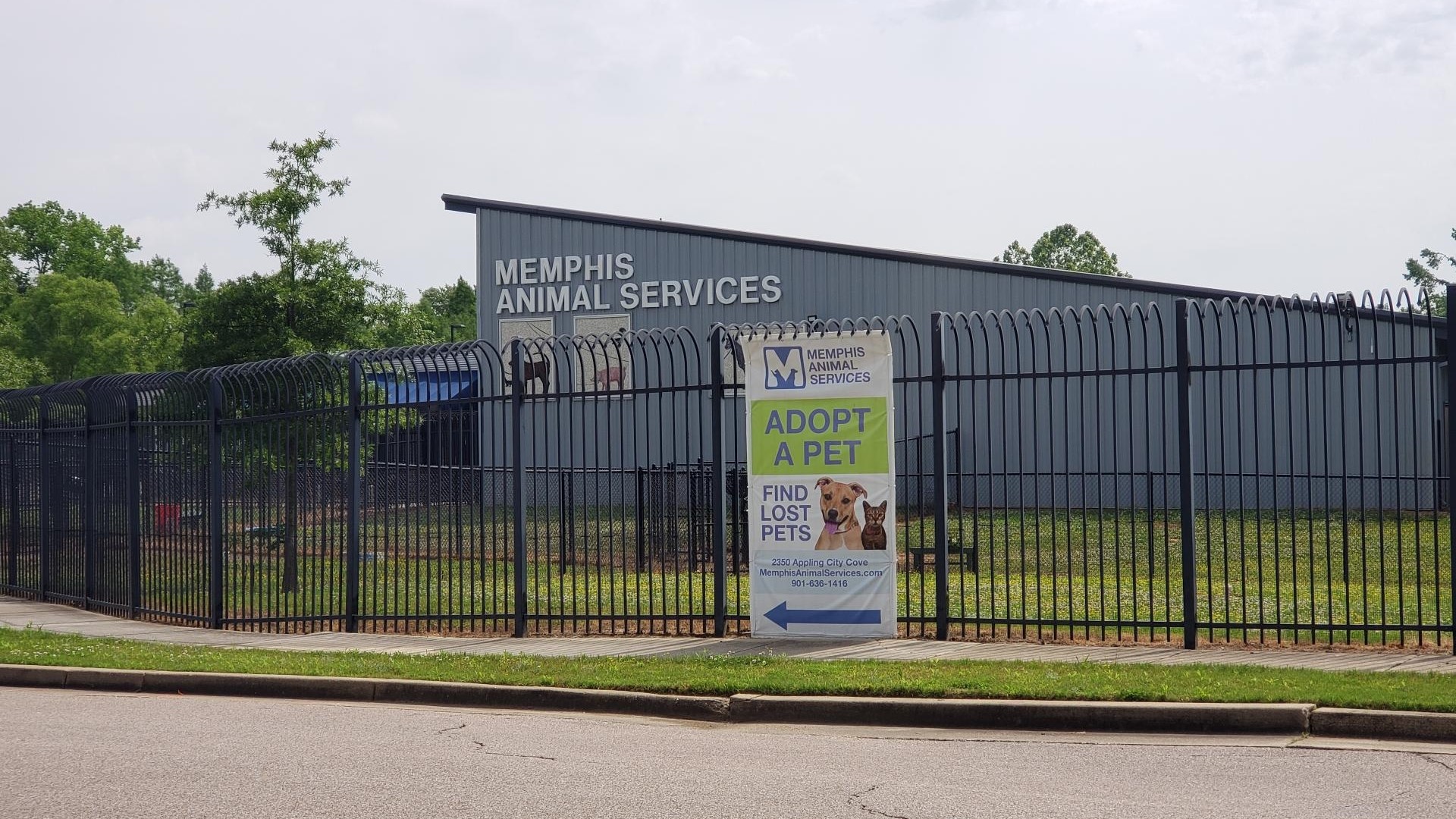 In 2014, the save-rate at Memphis Animal Services was barely 50 percent. By 2023, the save-rate had risen 83 percent.