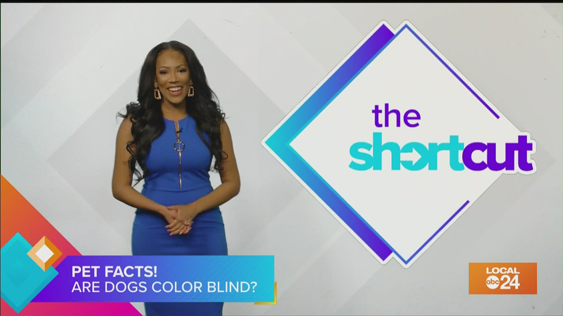 Are dogs really colorblind? Find out the truth with Sydney Neely.
