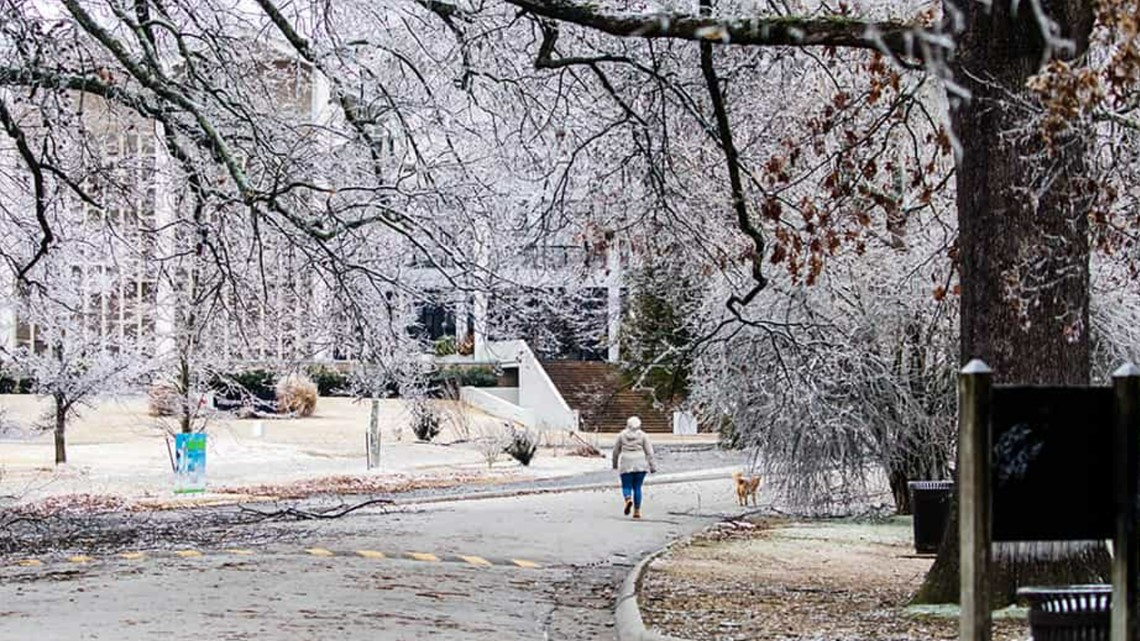 Winter storm updates, school closures, and the need to know's - Vimarsana News