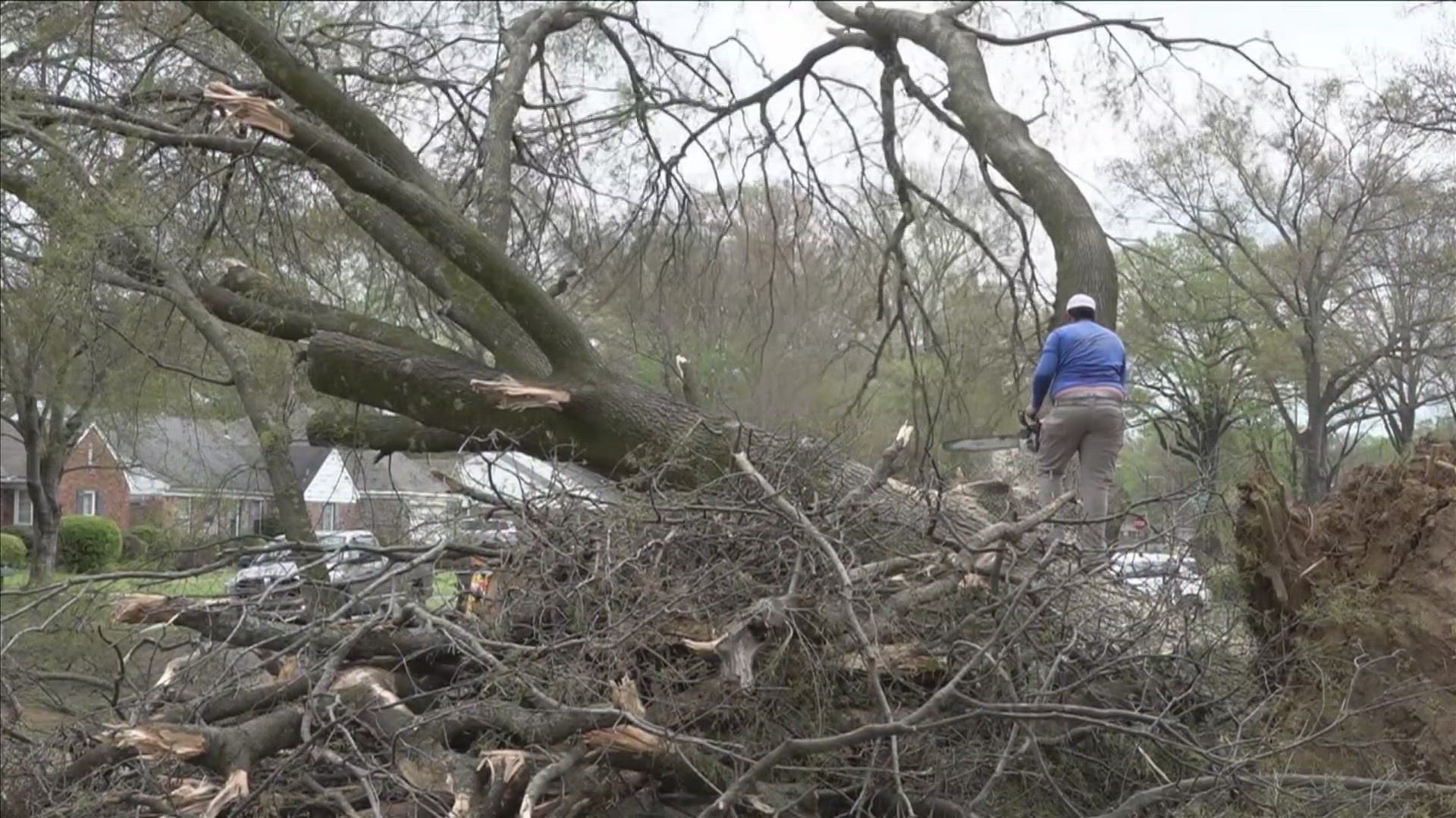 Though a tornado didn't hit the area directly, some parts of the area got smacked with straight-line winds.