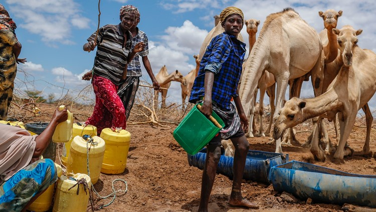 Record-breaking famine could leave 29 million hungry in East Africa | Here's how you can help them
