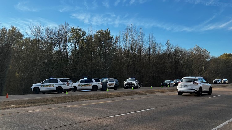Pedestrian hit and killed on Highway 51 in North Shelby County