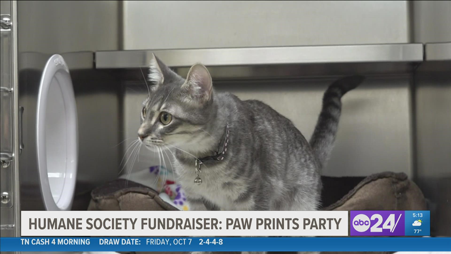 The Humane Society of Memphis and Shelby County is holding its annual Paw Prints Party Saturday, Oct. 8 from 6 p.m. to 11 p.m. at the facility at 935 Farm Rd.