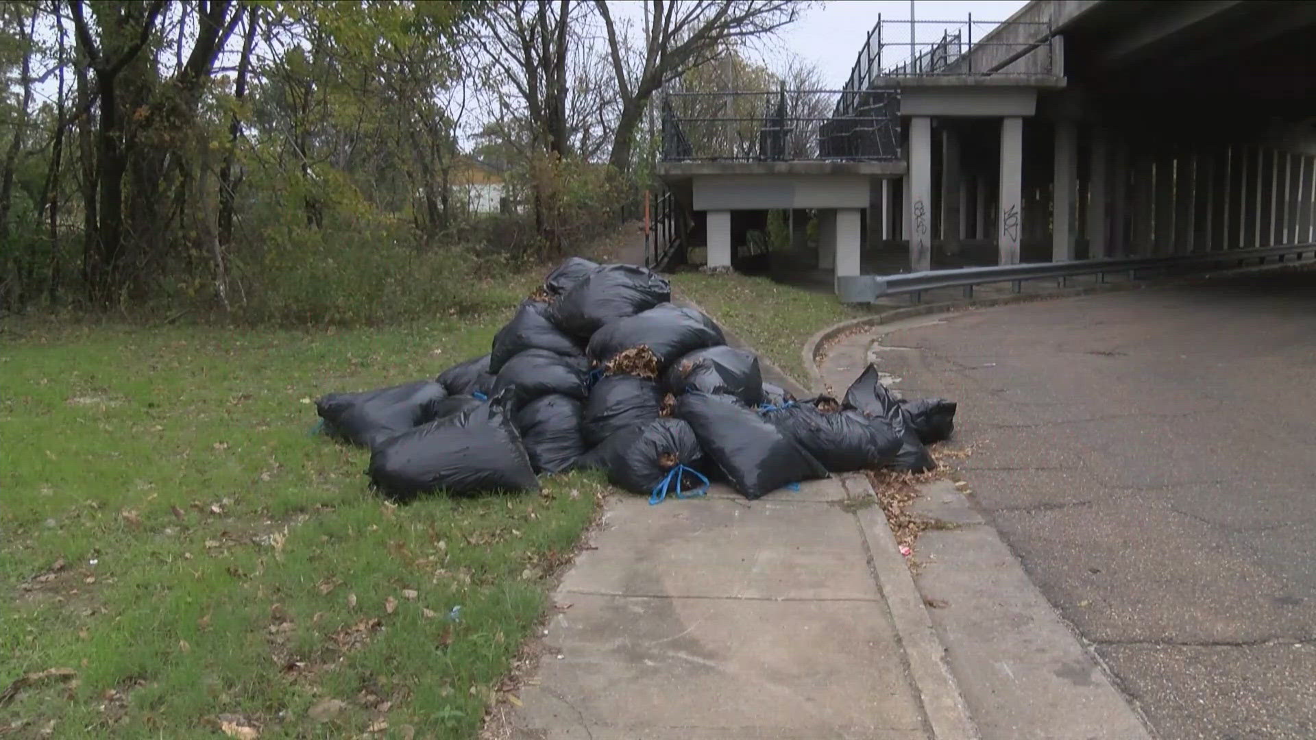 They told ABC24 they are getting resistance from illegal dumpers who are trashing any progress they make.