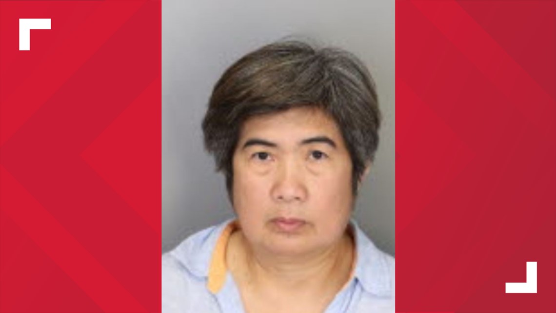 Woman "affiliated with Osaka" indicted for theft