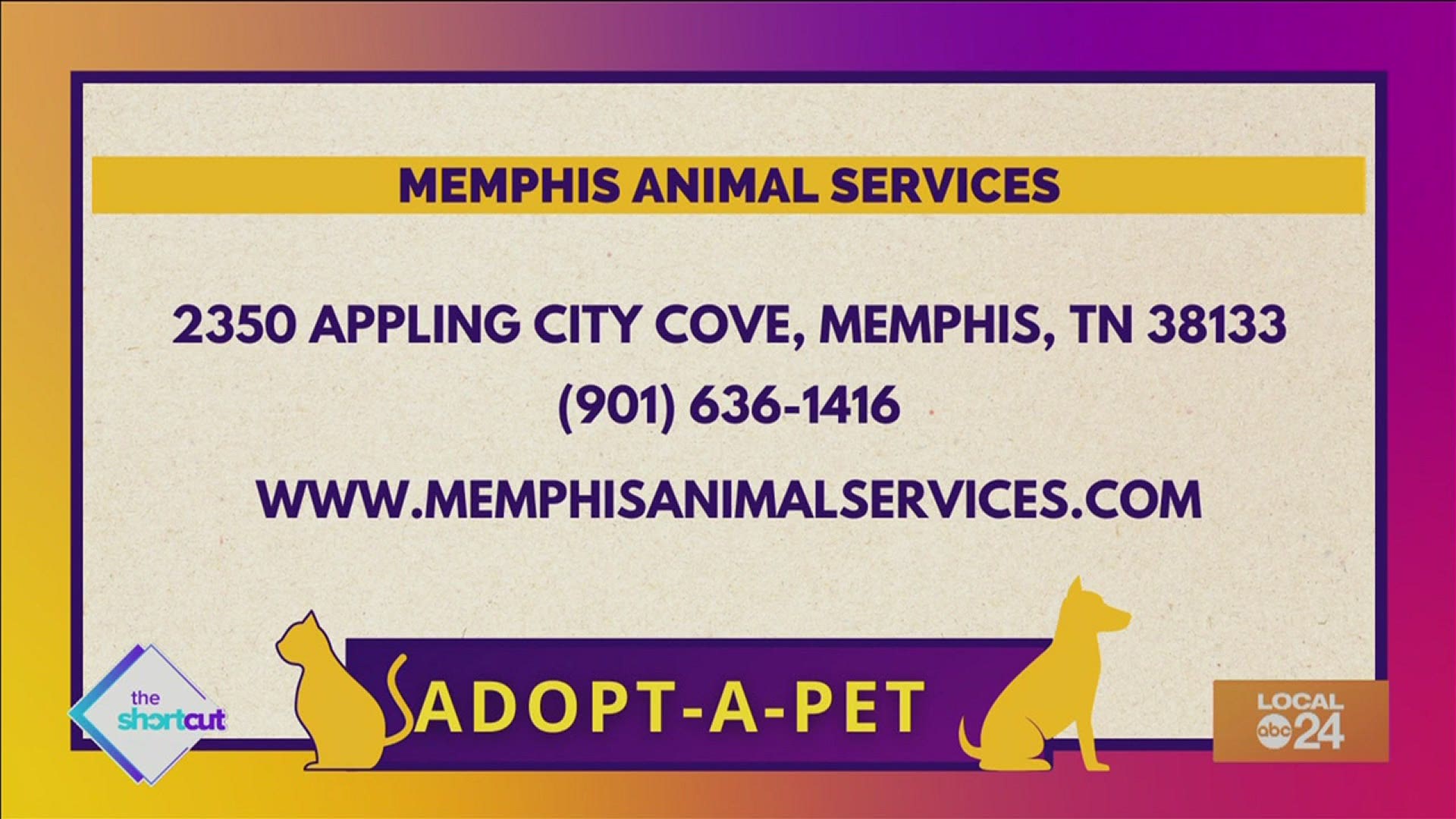 Whether you're a dog or a cat lover, check out what Memphis Animal Services (MAS) has to offer for only $20 per adoption! Starring Sydney Neely on "The Shortcut"!