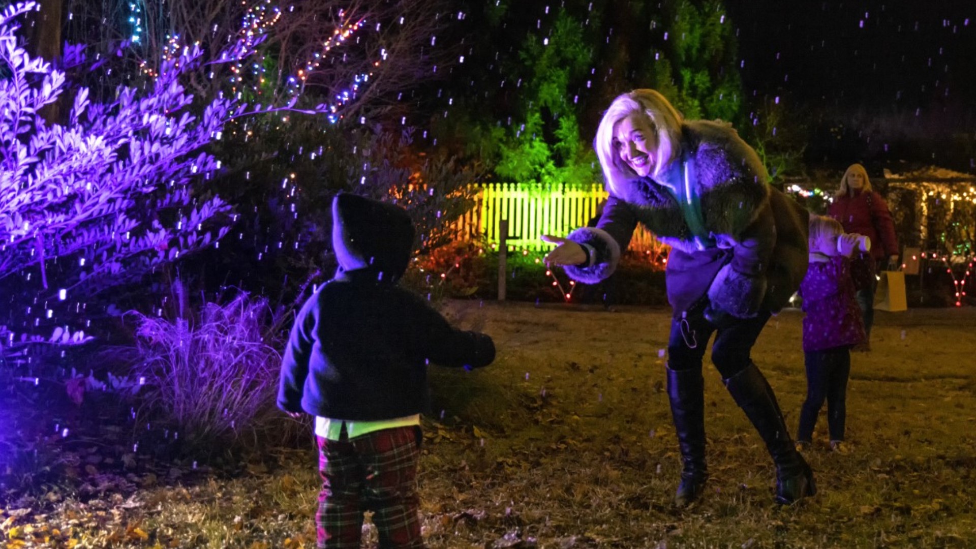 'Holiday Wonders' returns at Memphis Botanic Garden