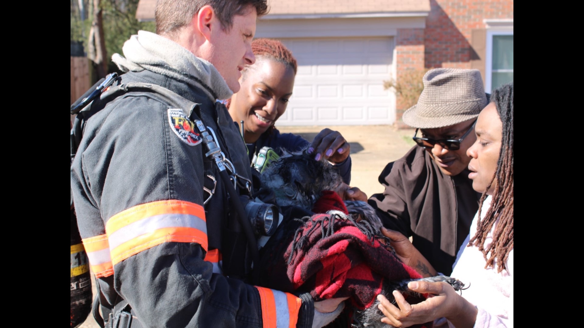 Dog reunites with firefighters who saved him from burning house ...