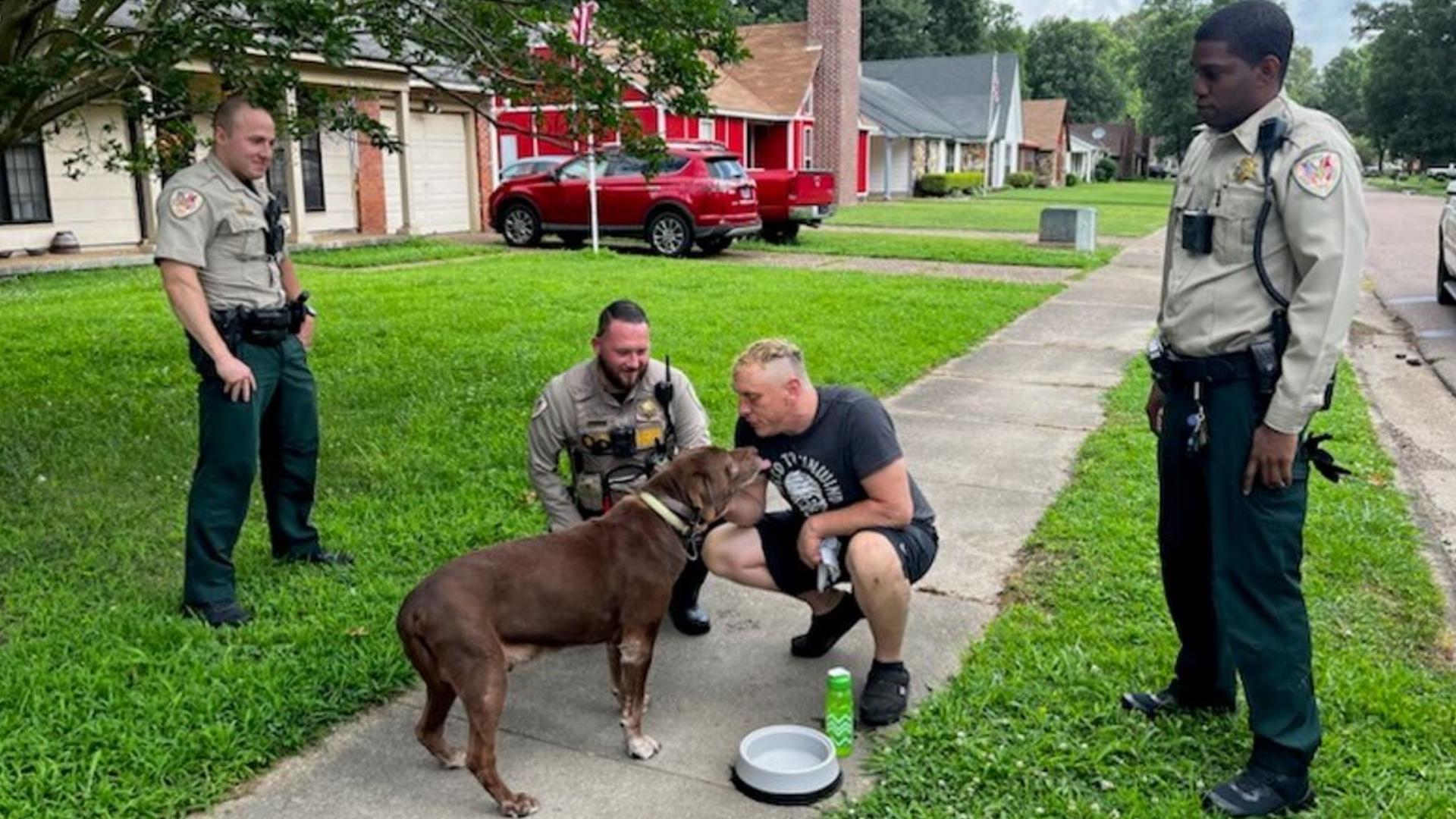 Dog taken in carjacking in Memphis found, reunited with family(01)