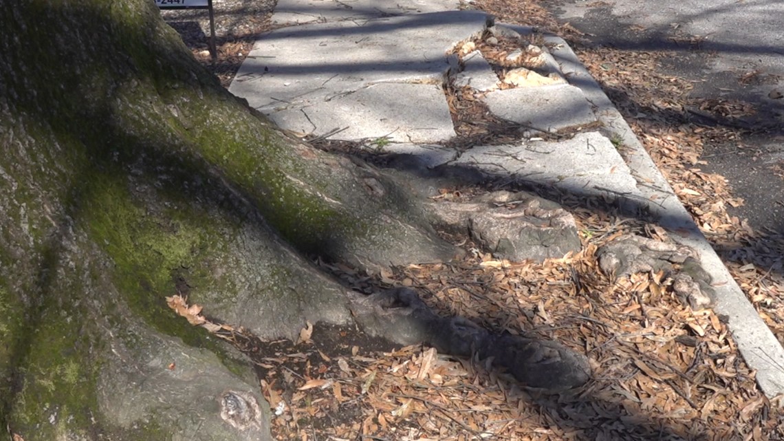 Sidewalk Replacement Program helps homeowners repair sidewalks - Vimarsana News