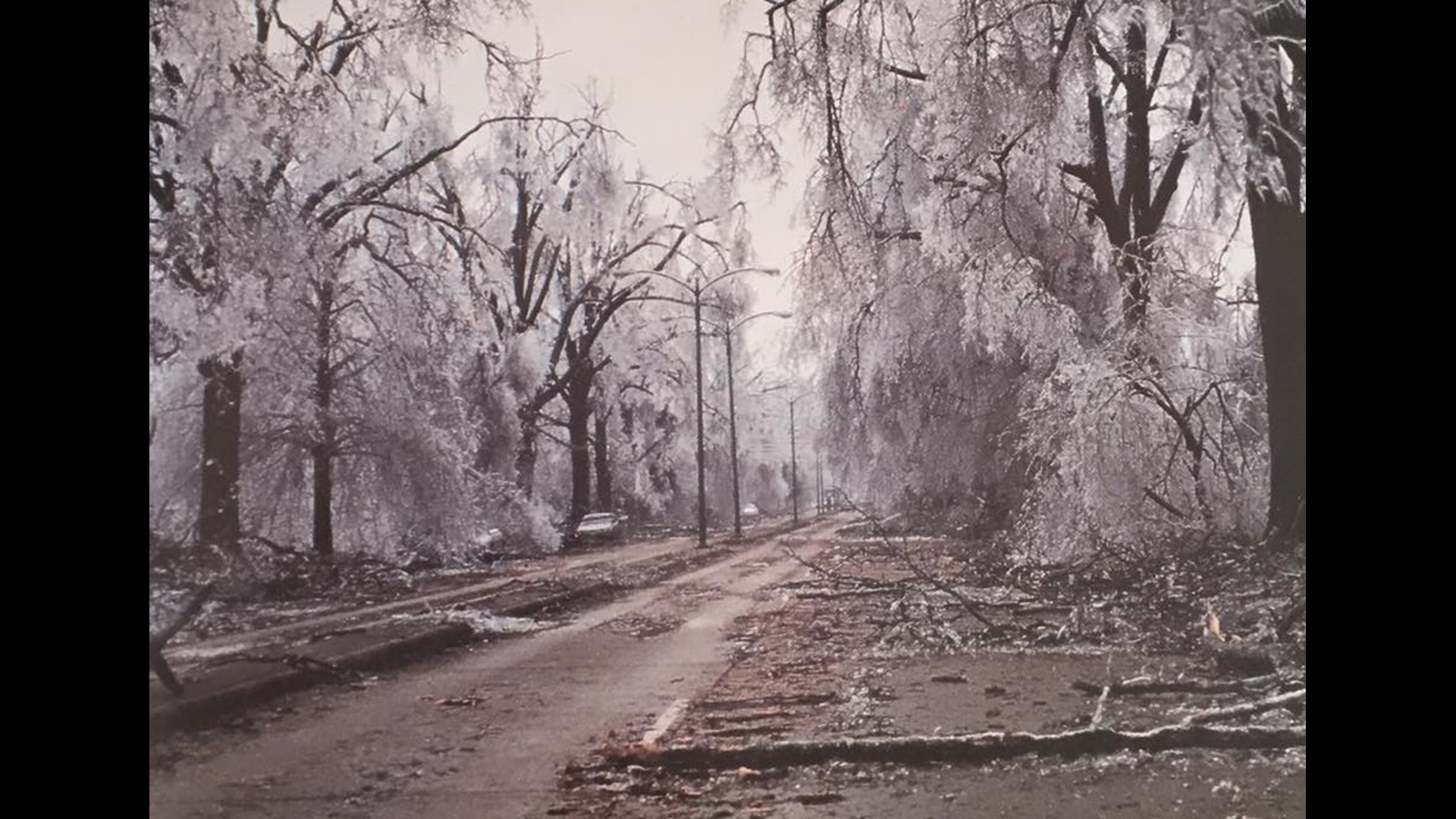 Pictures from the February 1994 ice storm in the MidSouth