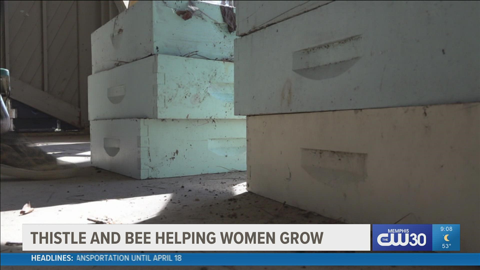 Thistle and Bee provides a safe environment so women can focus on moving their lives forward.