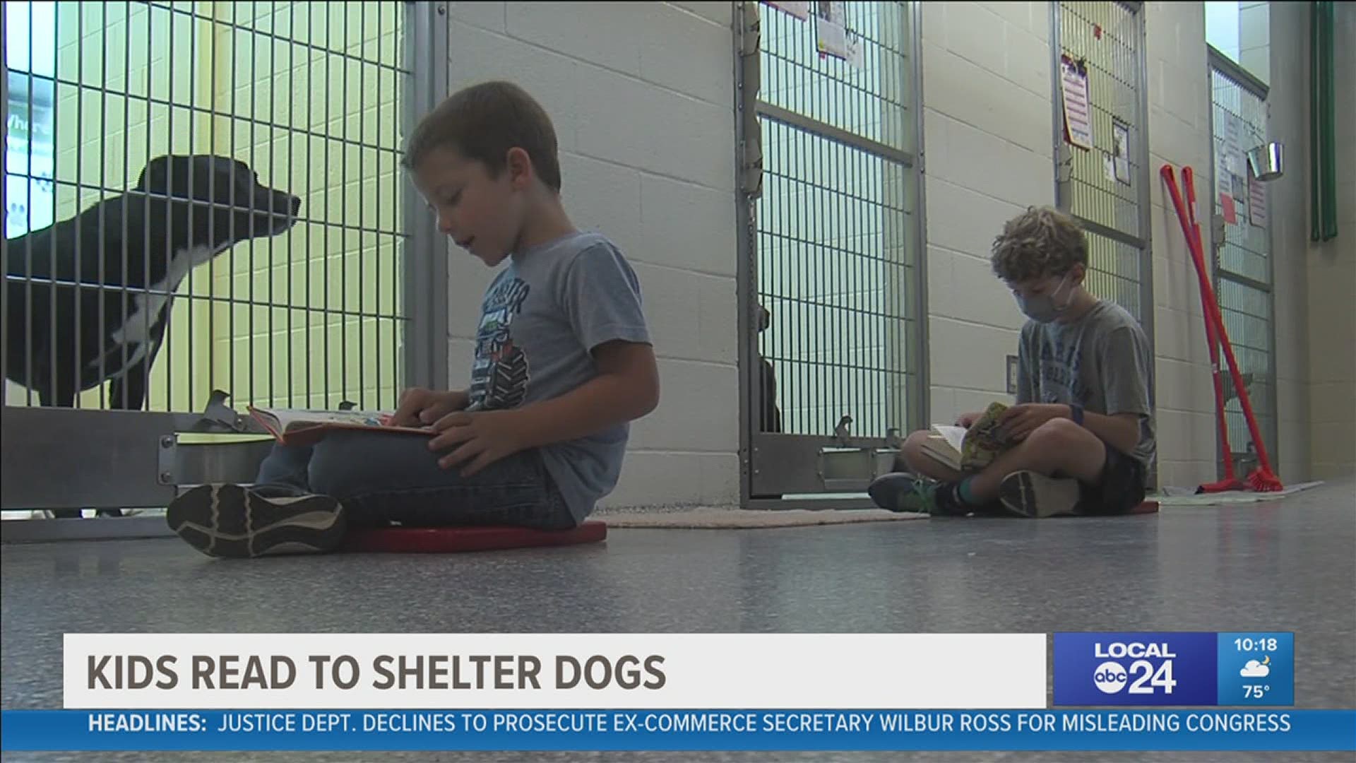 So sweet seeing kids helping in their community animal shelter |  