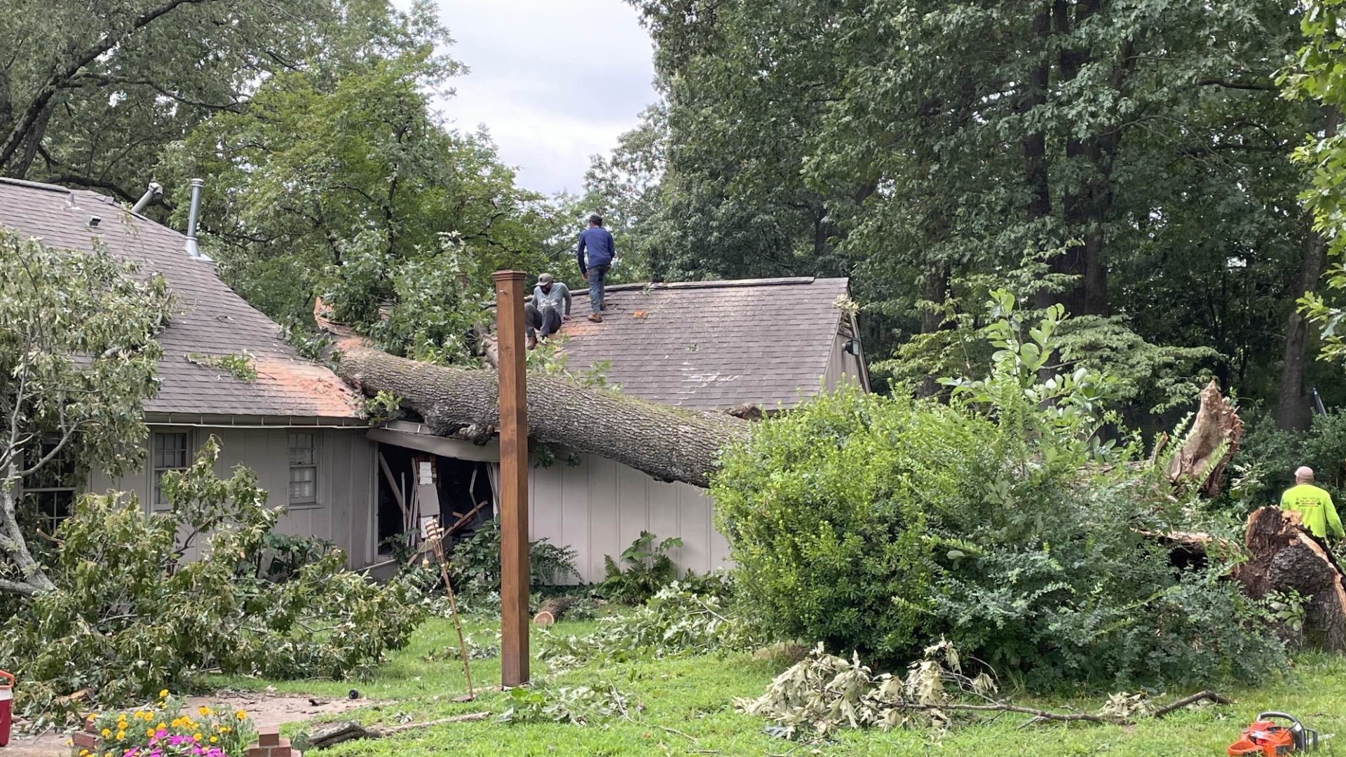 An East Memphis family lost their home after a tree fell on it. Another resident in the area is calling on MLGW to consider updating infrastructure.