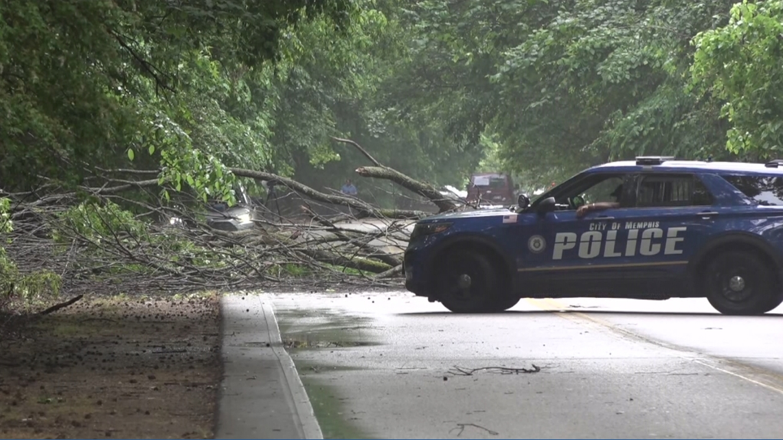 Car crashes into tree, road temporarily blocked | localmemphis.com