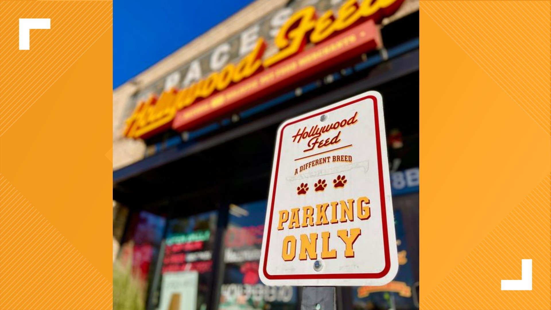 Hollywood Feed to expand into 5 new states