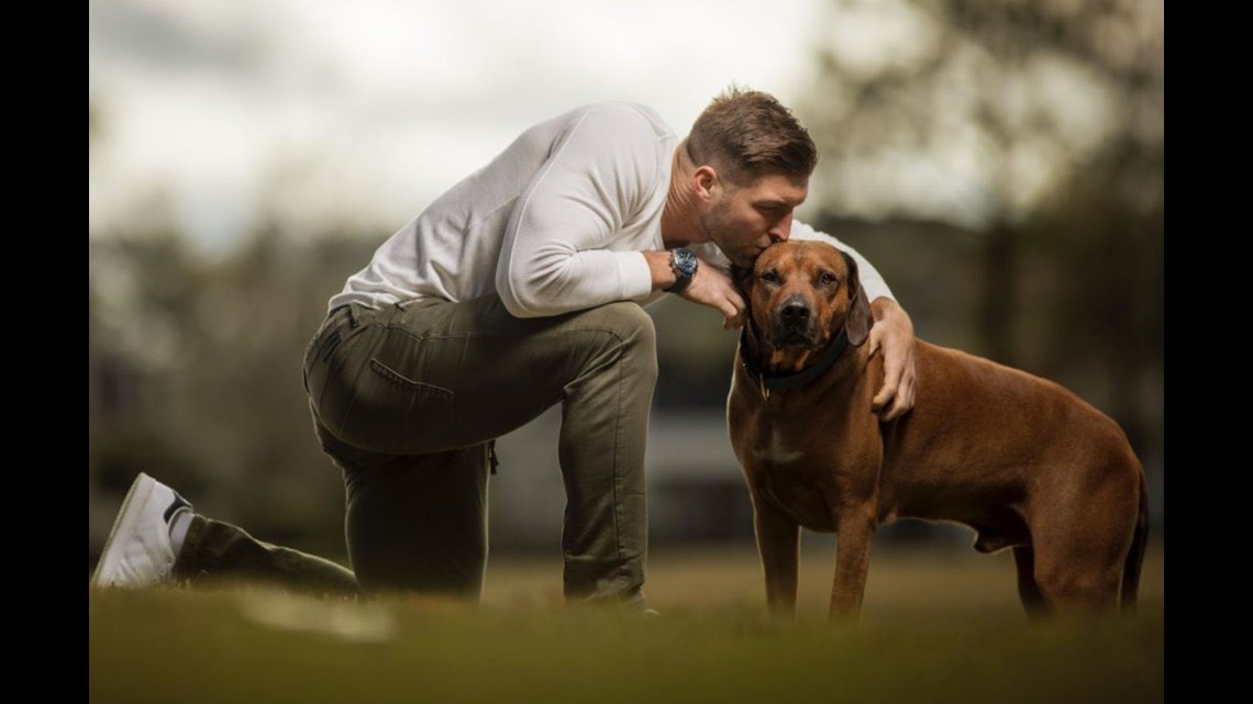 Video: Tim Tebow says tearful goodbye dog Bronco