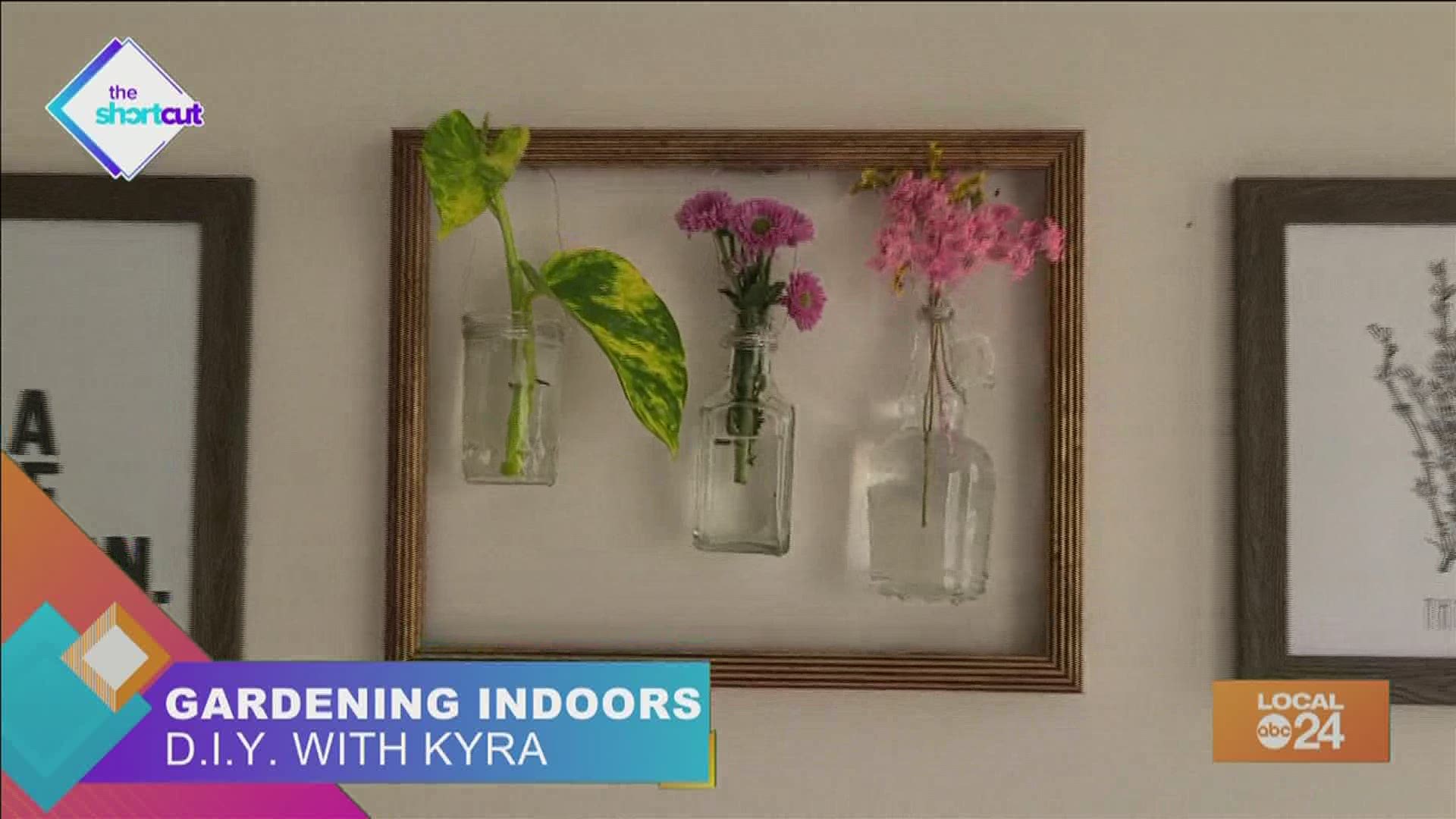 Not in the mood to garden, but still want to bring some plant life into your home? Join host Sydney Neely and DIY enthusiast Kyra Black as we take a look how!