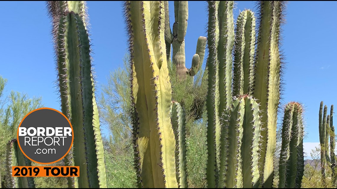 Border wall could destroy natural wildlife refuge in southern Arizona ...