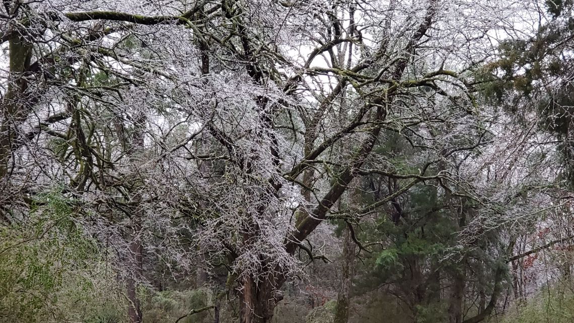 Memphis ice storm crystalizes need for resilient, reliant action –  Tennessee Lookout