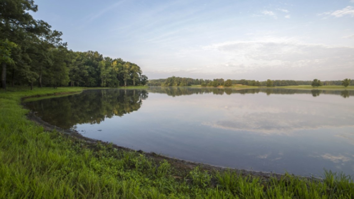 Ford announces $16 million partnership with Univ. of Tennessee for conservation and education in West Tennessee