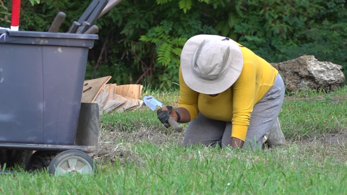 North Memphis to get above ground garden in Douglass - Vimarsana News