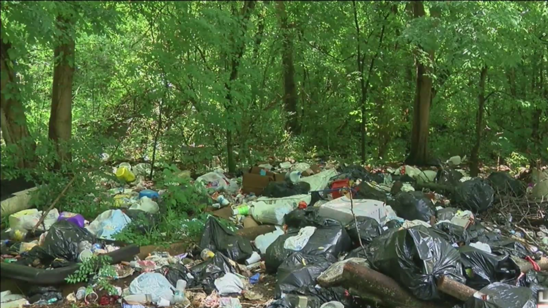 Five people charged for illegal dumping in Northaven after Local 24 News exclusive