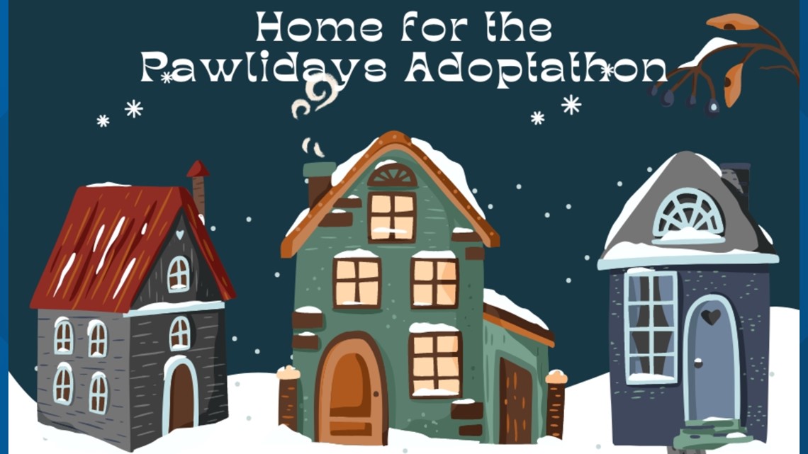 Bring a pet home for the 'pawlidays' at the Humane Society ...