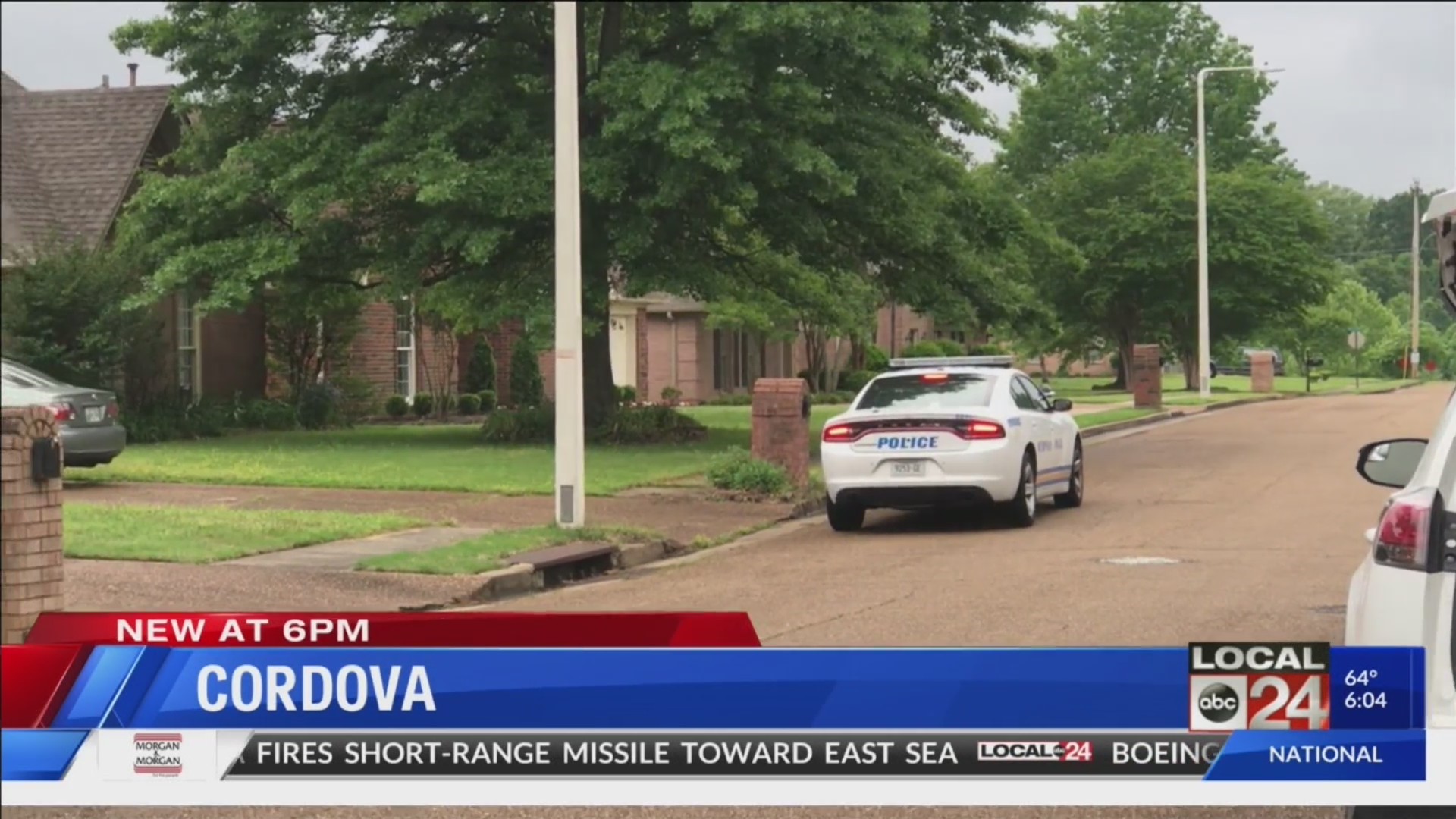 Dog shot, killed after attempted attack of an elderly woman in Cordova