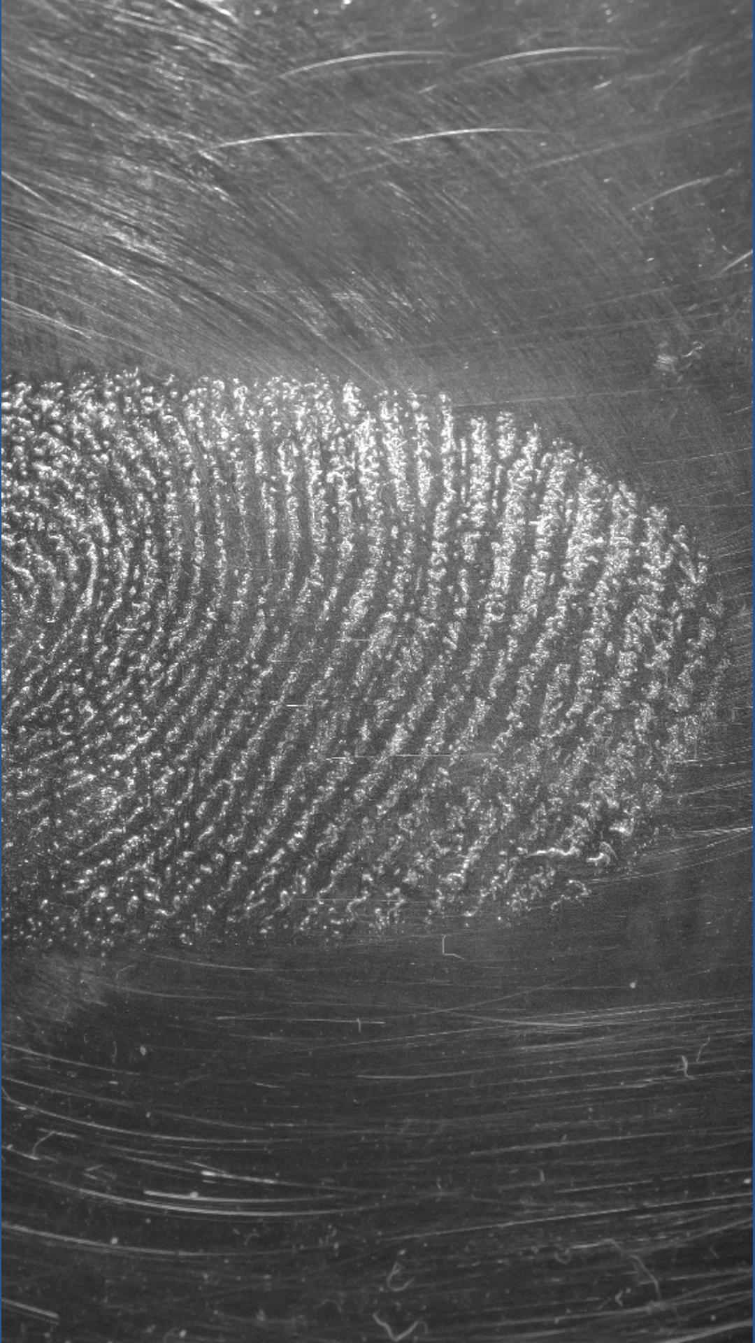 Pinpoint Evidence Research determines need for evidence processing improvements ...