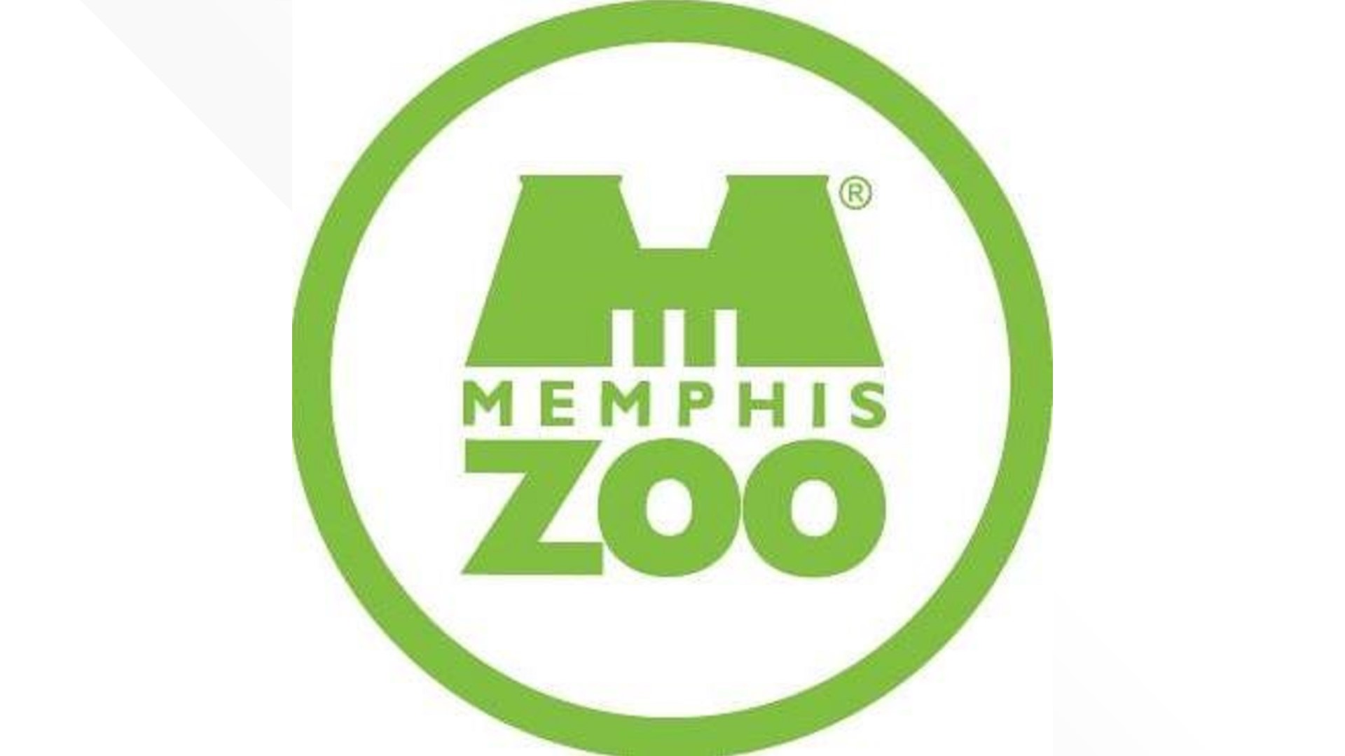 Memphis Zoo featured on "World's Greatest!" tv show