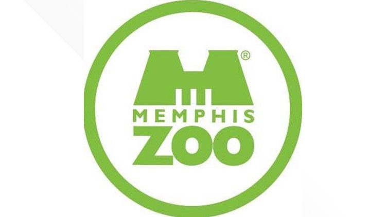 You can vote to name Memphis Zoo the best in the country