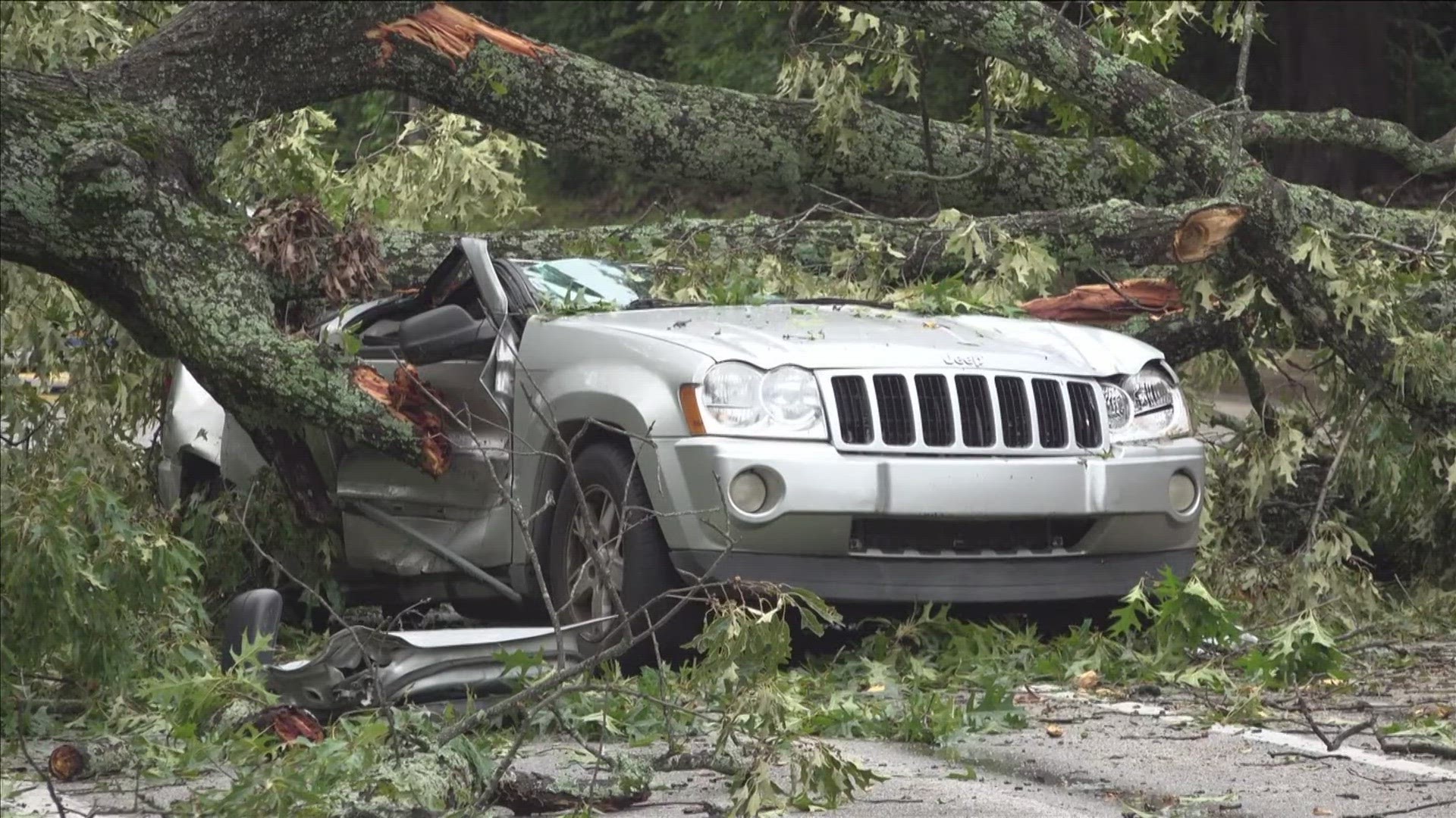 During a week of damaging thunderstorms in Memphis, Friday's storm left houses, cars, and streets covered with branches and large trees.