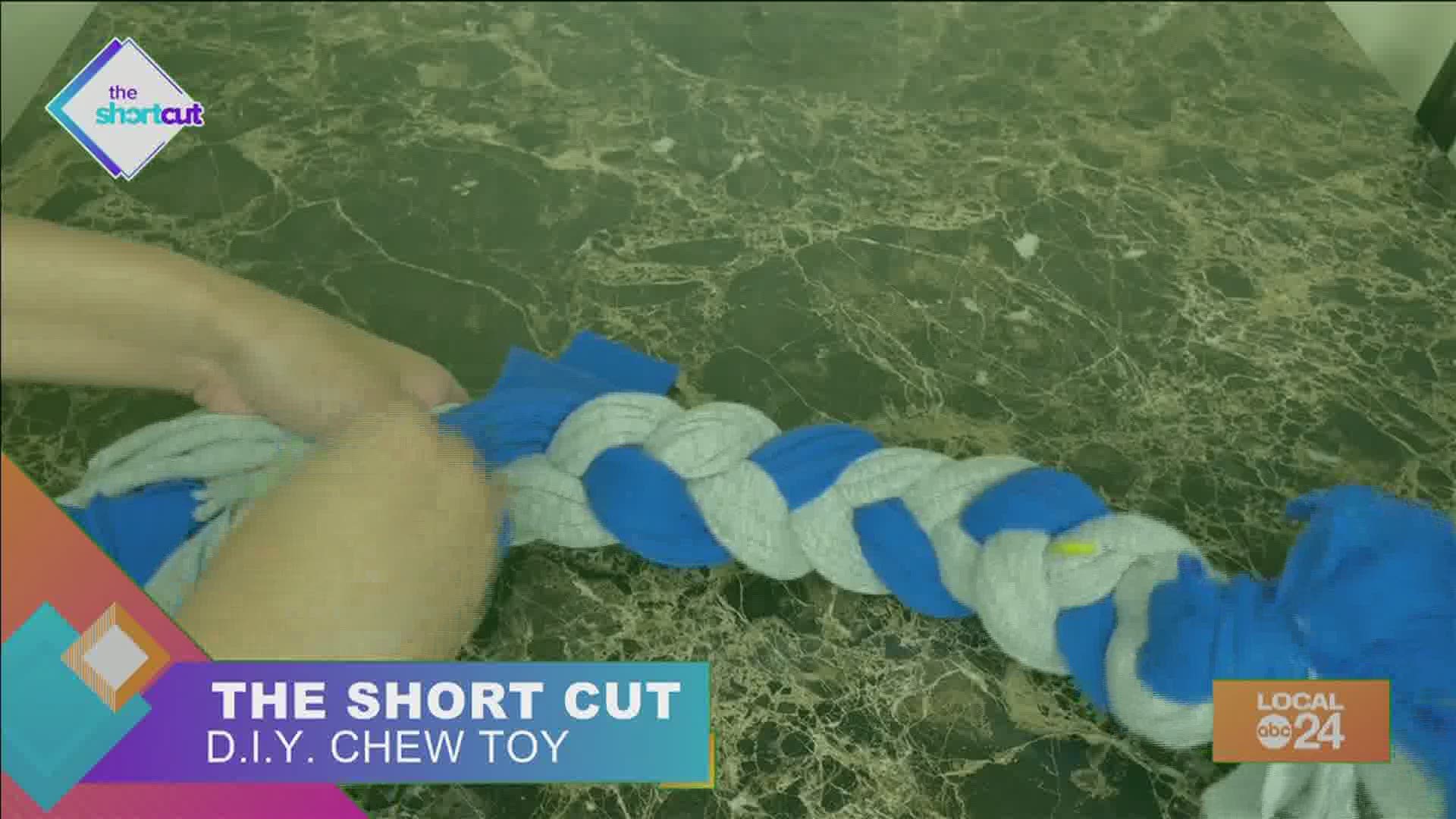 Looking to save money on dog toys and give your old t-shirts a second life? Make this DIY dog chew rope with Sydney Neely on "The Shortcut!"