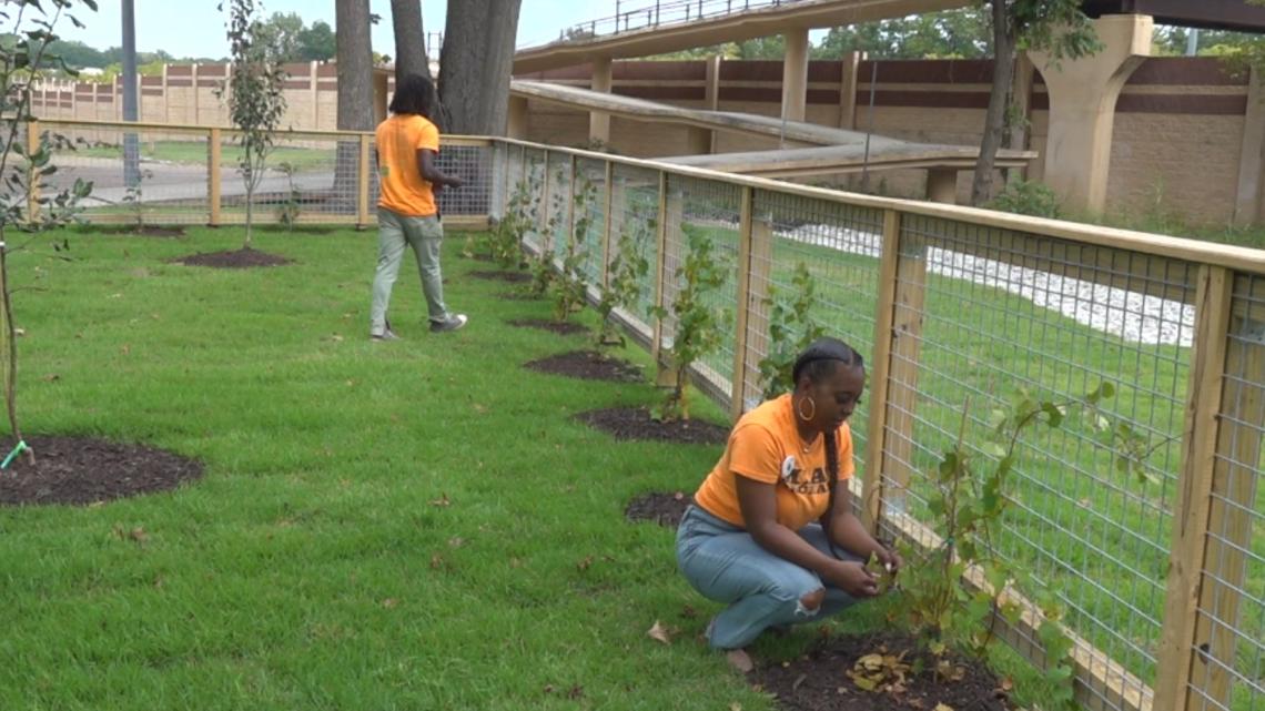 How one non-profit is honoring an urban farming activist's legacy - Vimarsana News