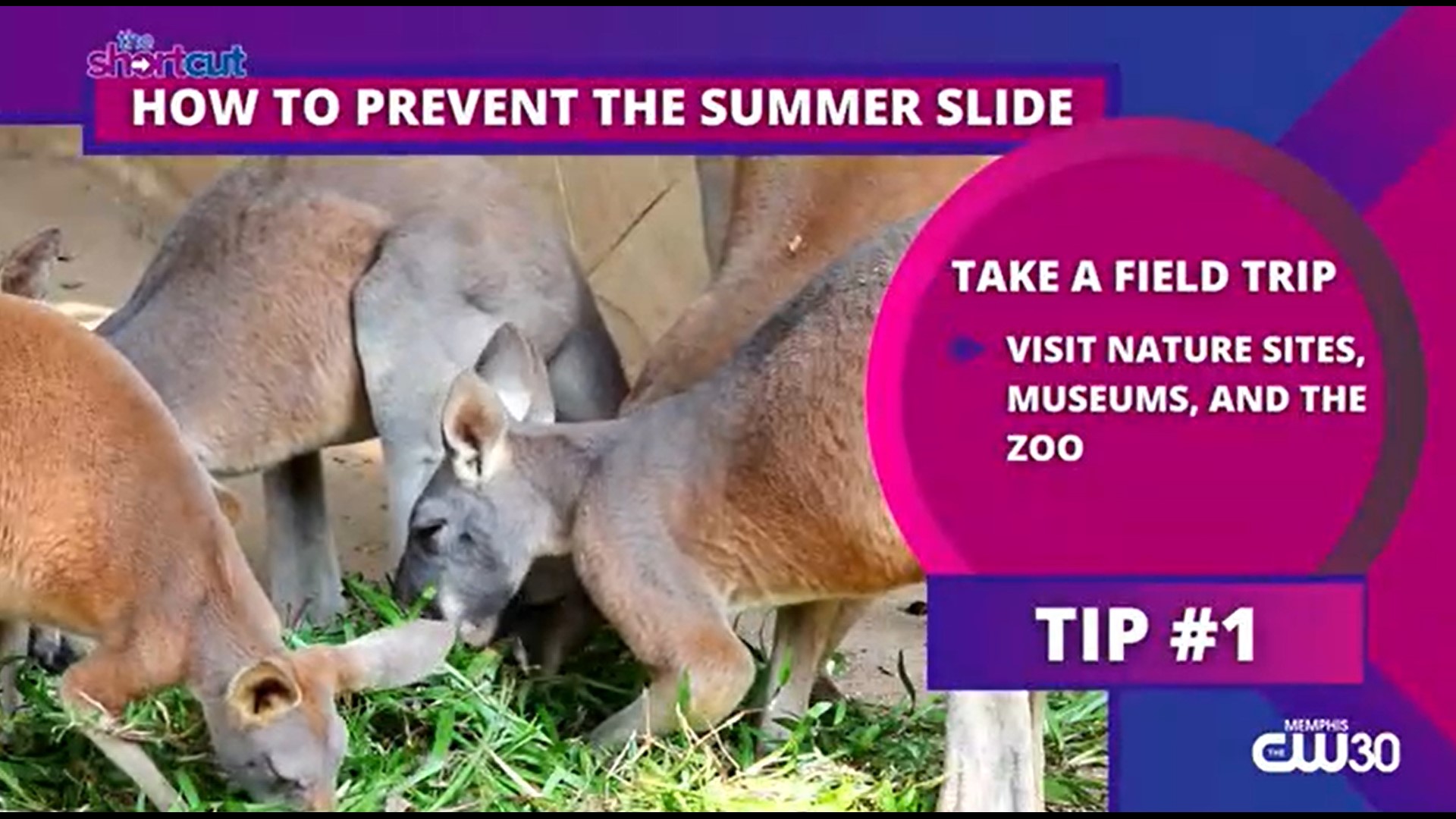 Looking to prevent "summer slide" and/or mosquito bites this summer? Check out these tips on this week's "The Shortcut"! Featuring lifestyle host Sydney Neely.
