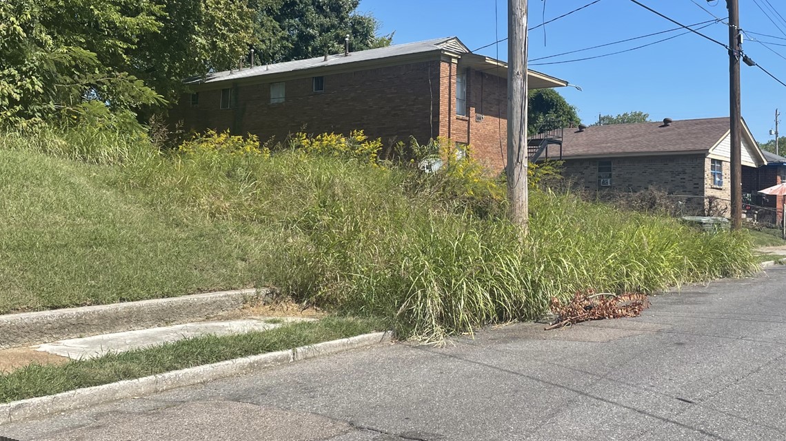 South Memphis residents demand vacant lots be kept up - Vimarsana News