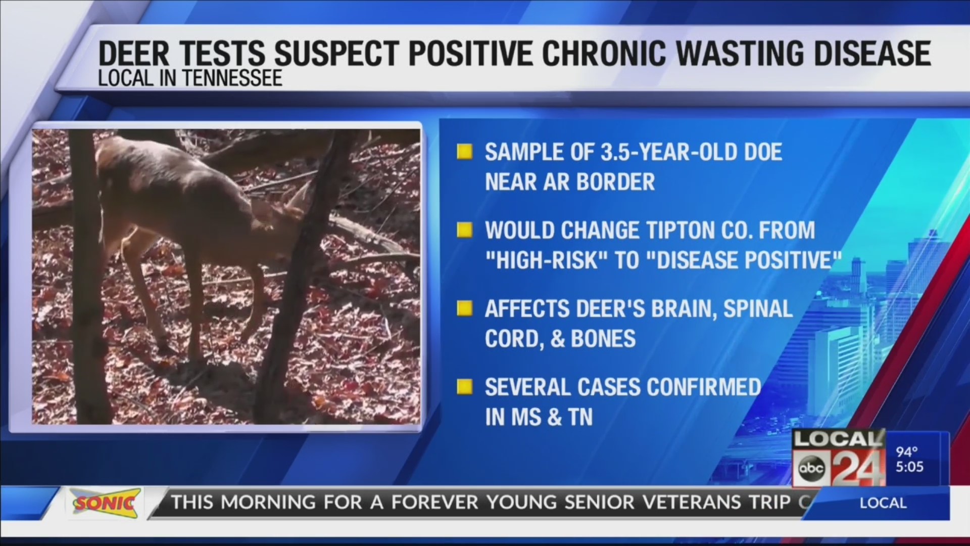 Deer in Tipton County tests positive for chronic wasting disease
