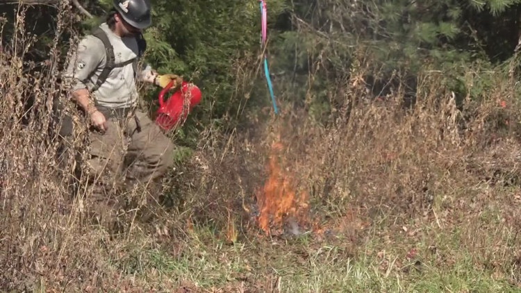 Prescribed burns planned for Cades Cove