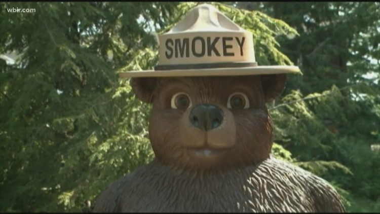 Happy 77th birthday, Smokey Bear!