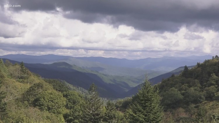 How you can help the environment in 2021