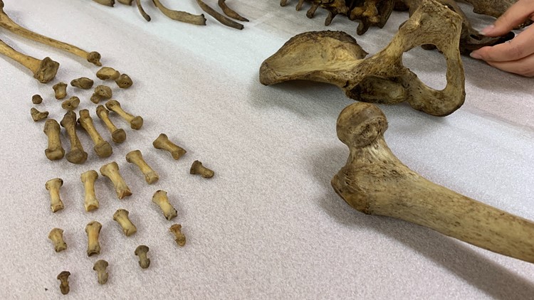 The Body Farm: Research never stops at UT forensic center