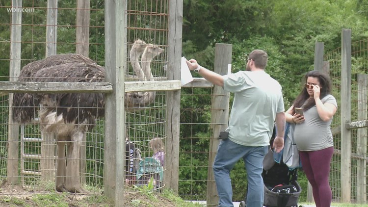 Little Ponderosa Zoo celebrates generosity of East TN during Community Appreciation Day