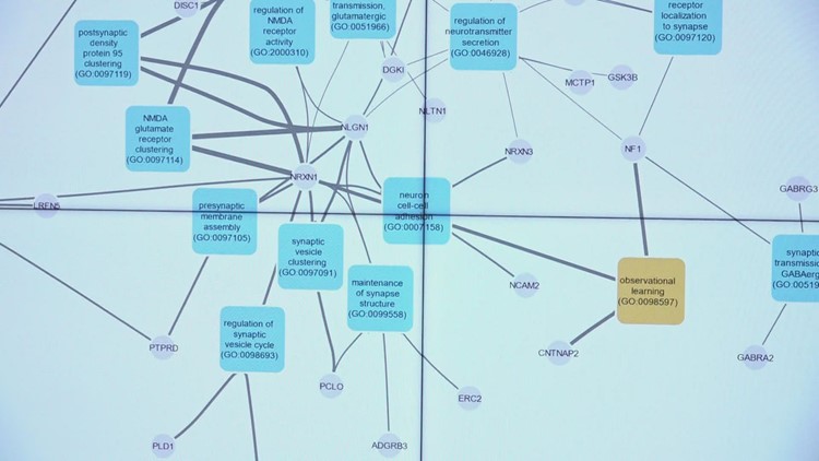 ORNL research team says they found genes responsible for autism