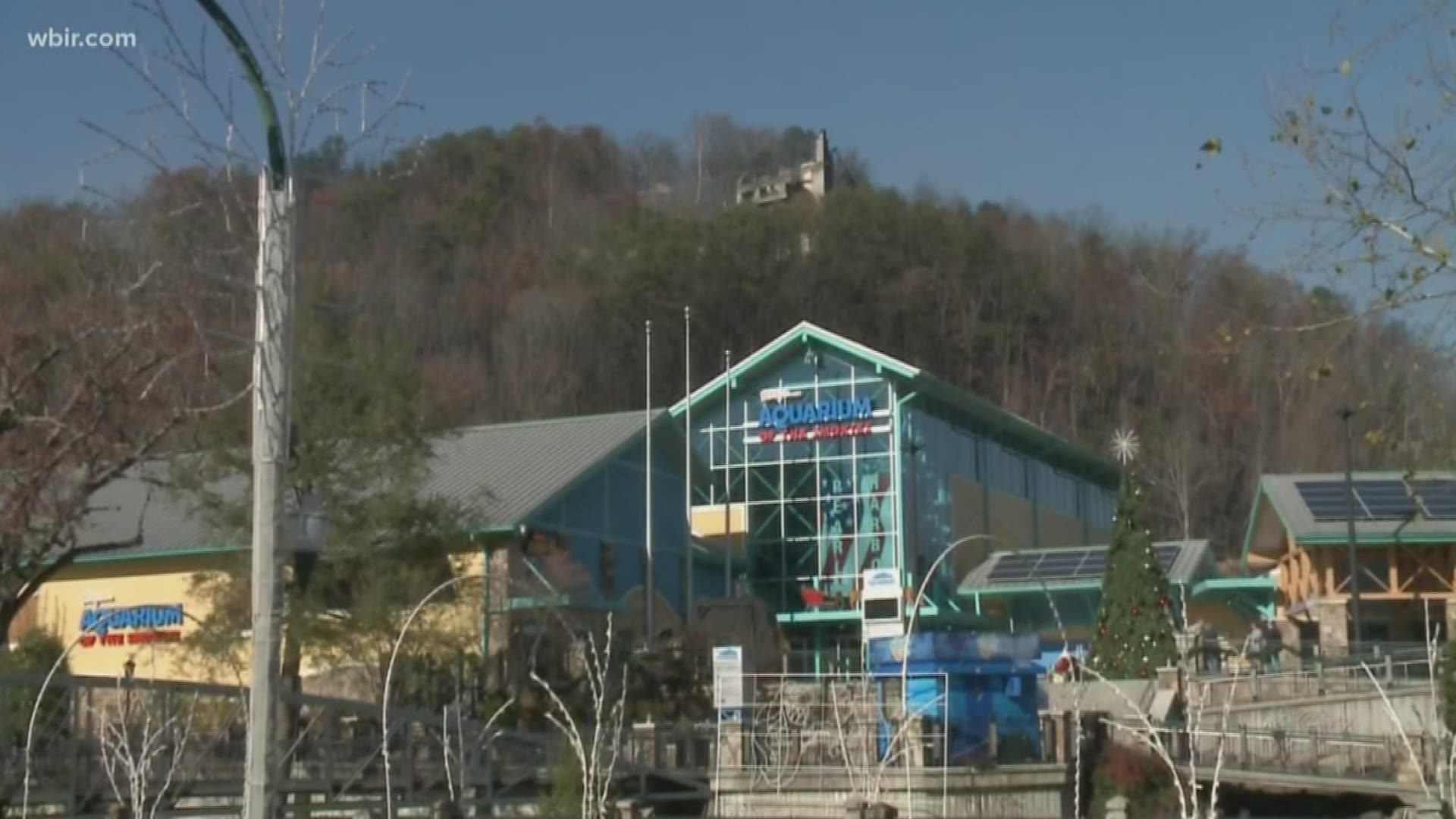 One of the buildings that remained mostly unscathed -- Ripley's Aquarium. The city's perseverance to rebuild from the wildfire has become stronger than ever.