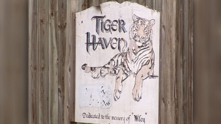 Chief Deputy: Tiger Haven employee sent to hospital after being bitten by animal Chief Deputy: Tiger Haven employee sent to hospital after being bitten by animal