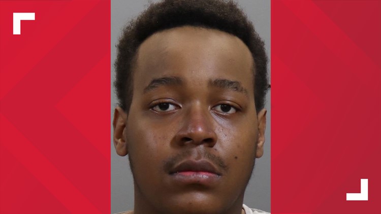 Knoxville man agrees to plead guilty to lying about pistol purchased for A-E student who died in confrontation with police