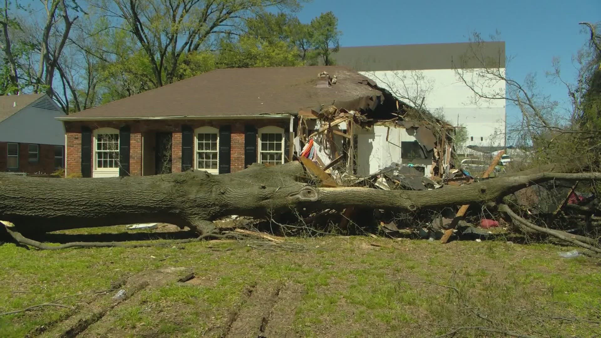 According to TEMA, 10 counties in Tennessee were impacted by tornadoes and severe storms on the night of March 31. 15 people died including nine in McNairy County.