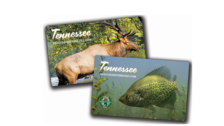 Hunting, fishing licenses in Tennessee expiring on Sunday, new cards on sale