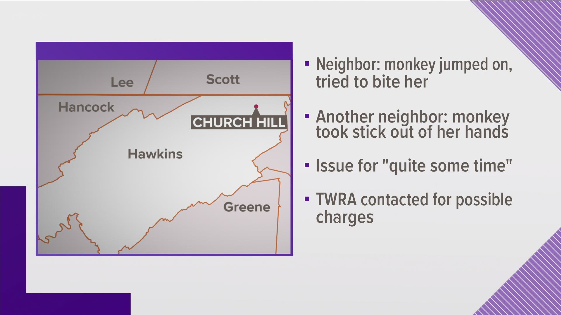 A WOMAN TOLD DEPUTIES SHE WALKED OUT TO HER DRIVEWAY AT NIGHT, AND A MONKEY JUMPED ON HER AND TRIED TO BITE HER. THEN JUMPED ON HER CAR.